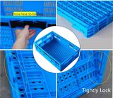 Caixa de dobramento plástica dobrável da distribuição de serviço público dos PP para o supermercado/armazenamento home
