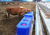 Bebedouros de plástico automático de fluxo contínuo para gado para rotomoldagem