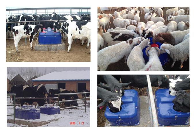 Frost equipamento agrícola antigelo dos rebanhos animais da calha do bebedor da cabra dos carneiros do gado da bacia/vaca livre/calor auto da água potável